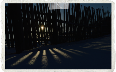 A Letter from the Author of Blue