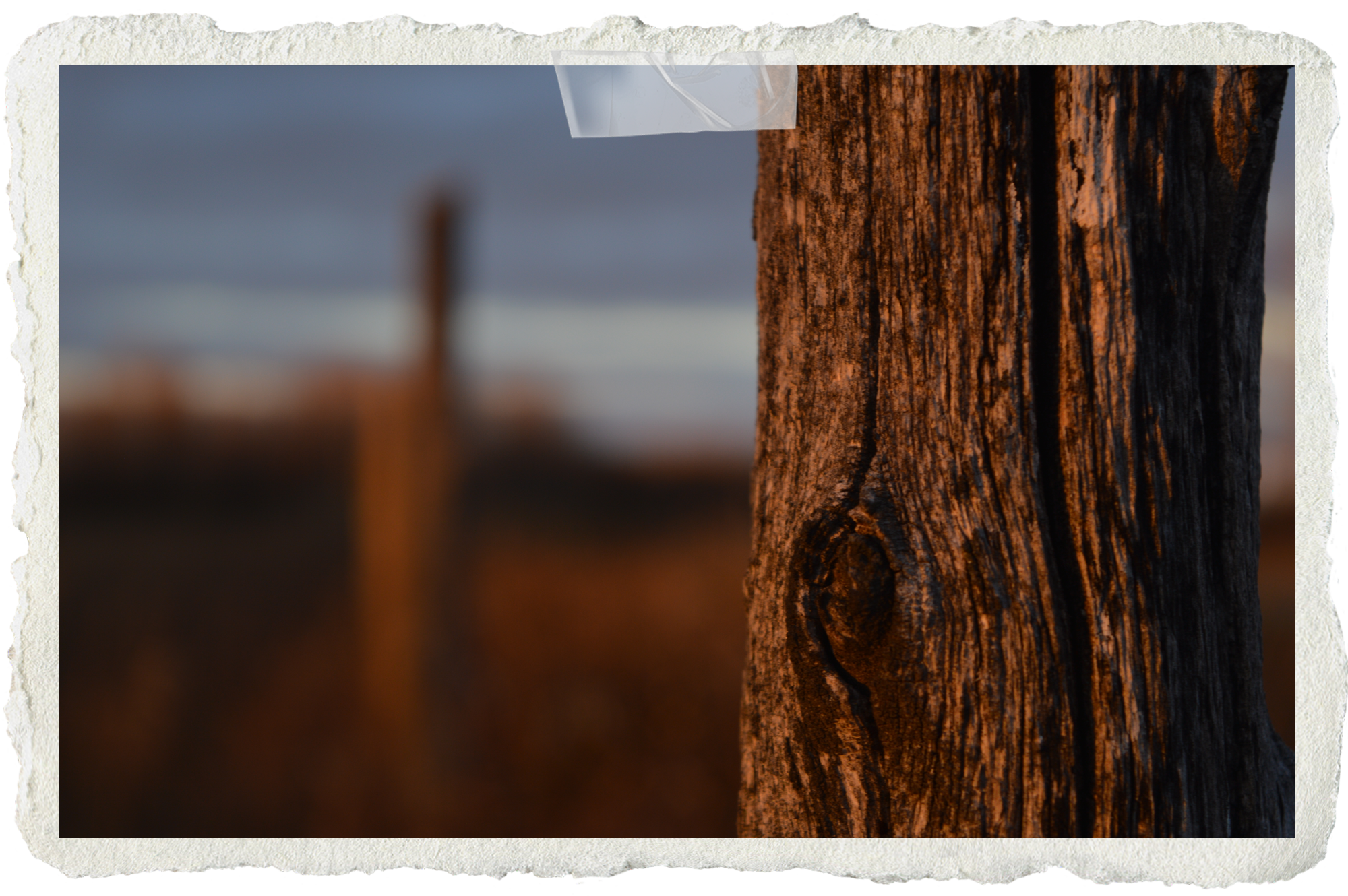 Individual Responsibility: a Freeform Poem