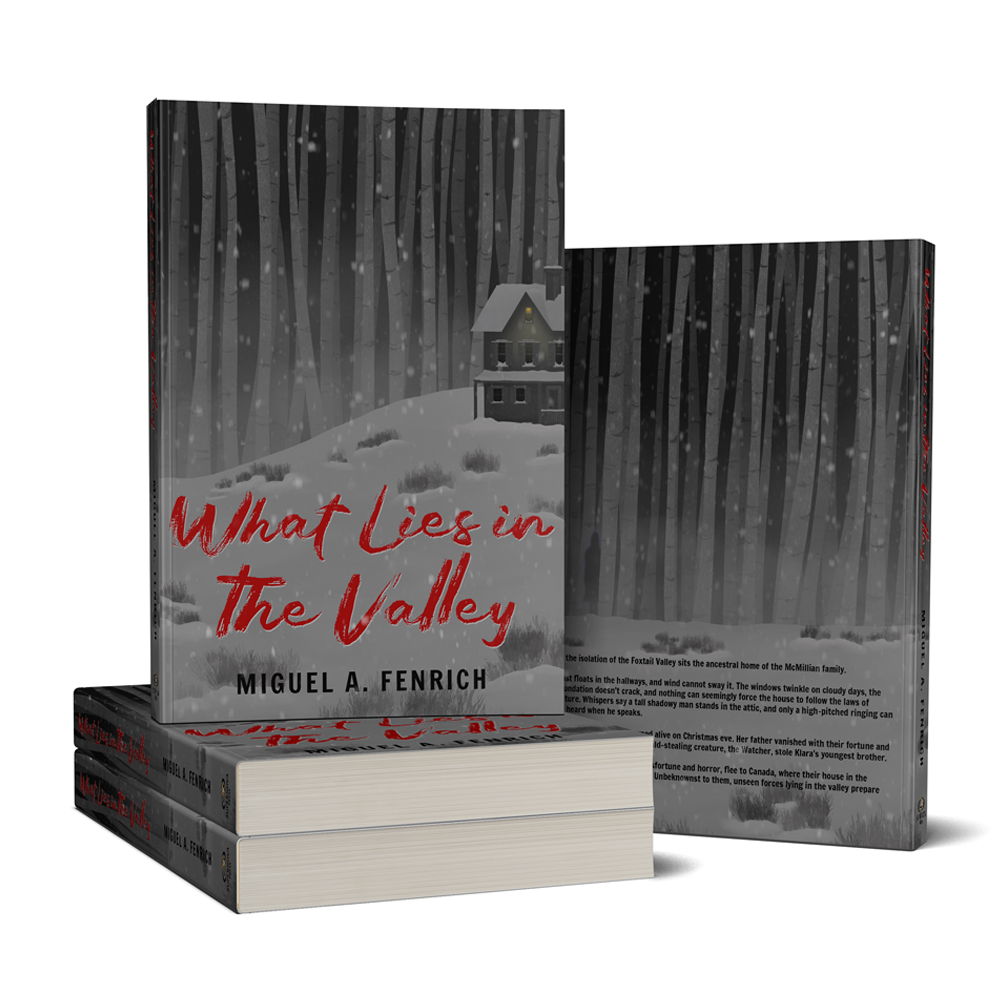 What Lies in the Valley Paperback Books by Miguel A. Fenrich