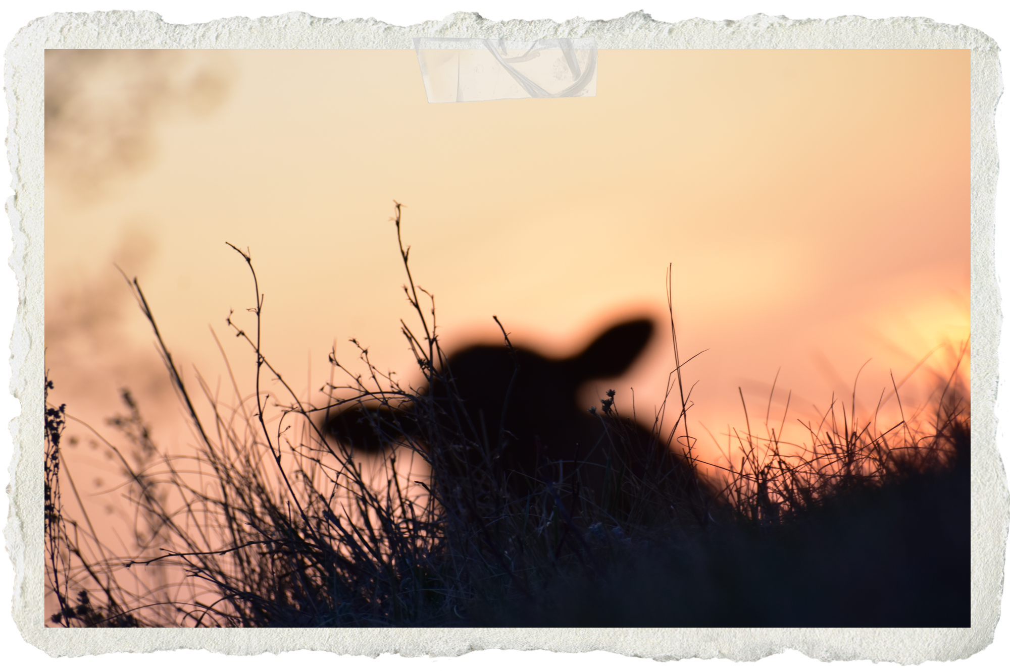 Dreaming of Summer: a short story