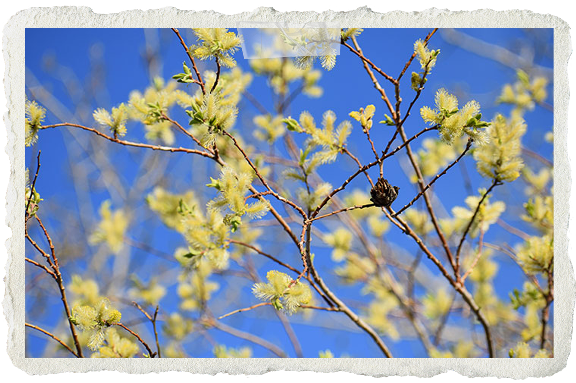 The Opposite of Drought: a poem