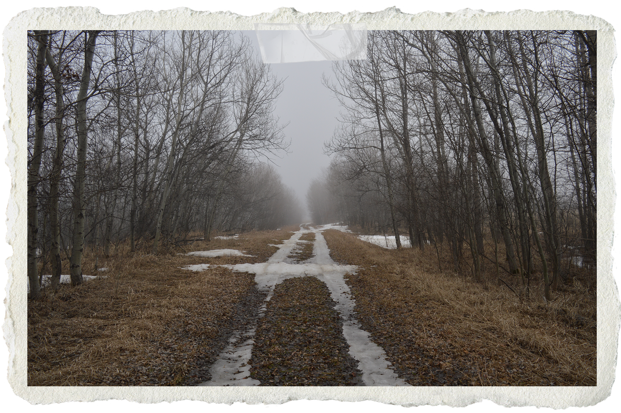 Exploring Land, Place, and Home: Five Writing Prompts