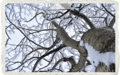 A Little Snippet of Things to Come – 273 Days