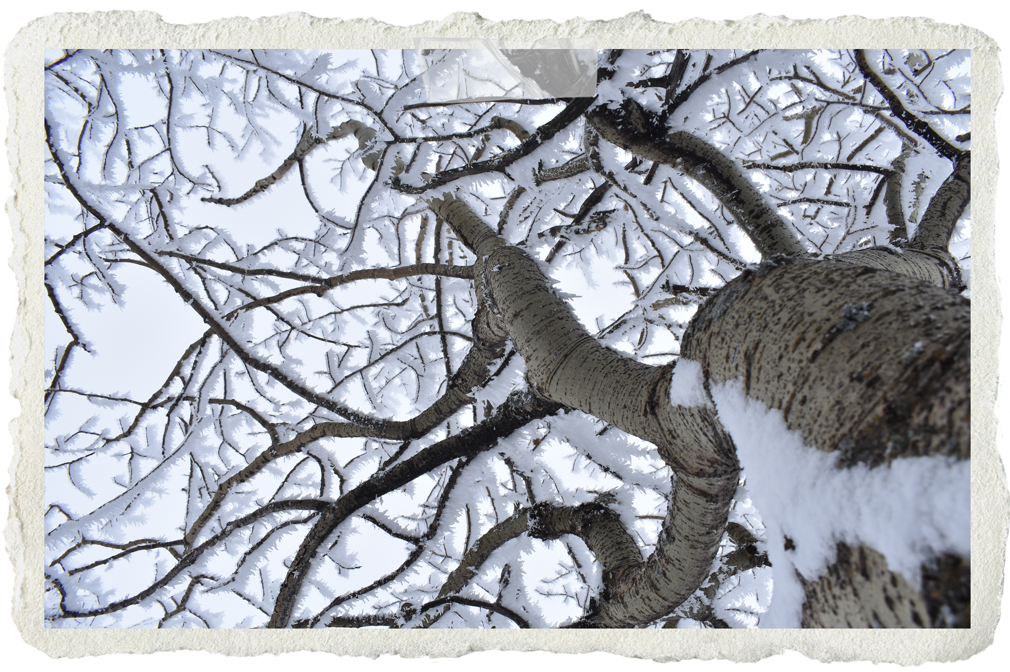 A Little Snippet of Things to Come – 273 Days