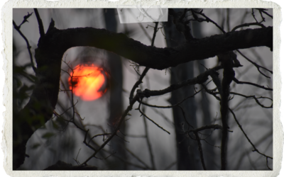 Day 111: The Unnamed Woman